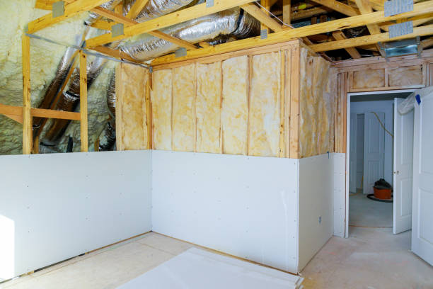 Best Commercial Insulation in Decordova, TX