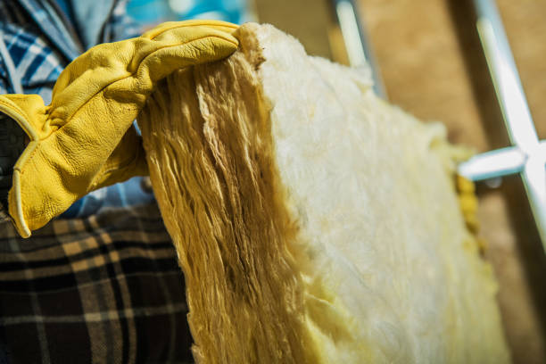 Best Insulation Installation Services in Decordova, TX