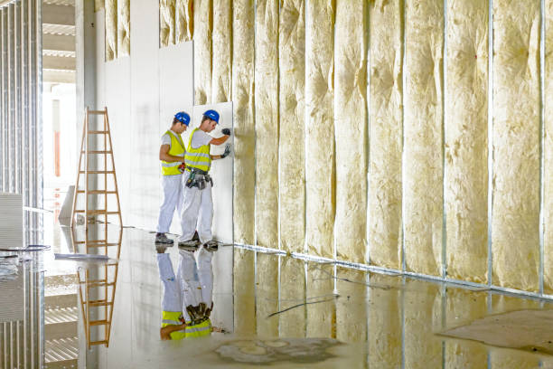 Best Types of Insulation in Decordova, TX